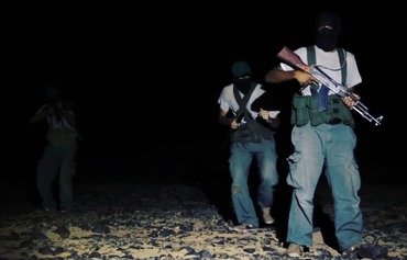 Egypt hunts down Hasm Movement members