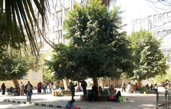 Egyptian families gather in public parks and gardens to celebrate the national holiday of Sham el-Nessim and enjoy the spring breezes. [Waleed Abu al-Khair/Al-Mashareq]