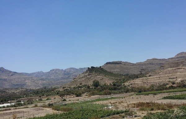 Yemen's agricultural sector has incurred direct and indirect losses as a result of the ongoing war. [Faisal Darem/Al-Mashareq]