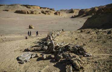 Egypt police raid Hasm hideouts in al-Fayoum