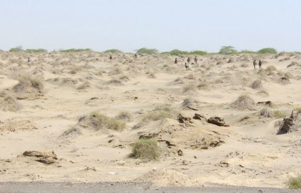 Yemeni forces advance towards the entrance of Abyan province as part of an operation to drive al-Qaeda fighters out of Zinjibar, the southern provincial capital, on April 23rd, 2016. [Saleh al-Obeidi/AFP]
