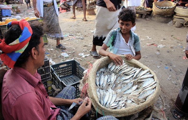 رجل يبيع الأسماك في سوق بمديرية عبس في محافظة حجة بشمال غرب اليمن يوم 13 تشرين الثاني/نوفمبر. [عيسى أحمد/وكالة الصحافة الفرنسية]