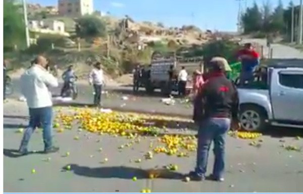 Jordanian farmers throw their citrus crops in the streets in protest of Syrian crops being allowed to enter the kingdom without any regulations. [A screenshot from an online video of the protest]