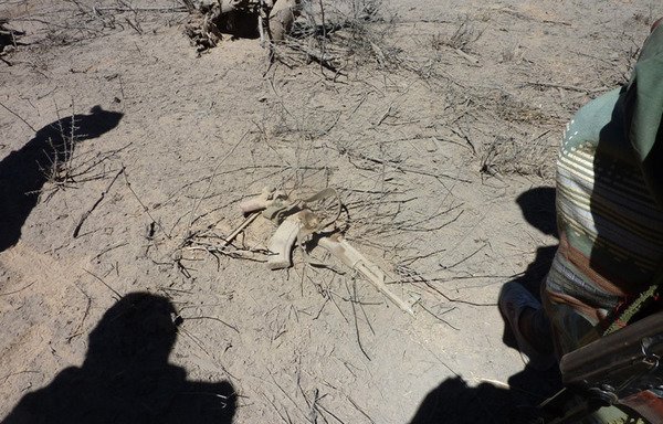 تفنگ یک شبه نظامی مظنون القاعده در پی حملات هوایی دولت در این عکس بایگانی از تاریخ 10 مارس 2012 در منطقه کوهستانی در استان البیضاء، بر روی زمین افتاده است. [ عکس خبرگزاری فرانسه/اس تی آر]