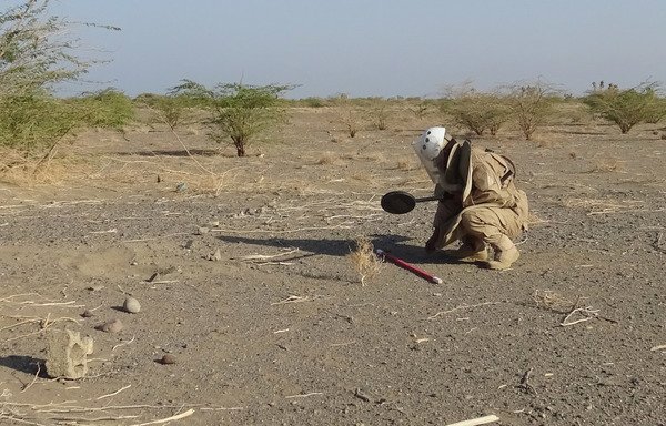 A member of the Yemeni forces searches for land mines near al-Hamili district in Taez province on November 29th, 2018. [AFP]