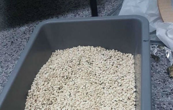 Lebanese authorities have been cracking down on the manufacture of Captagon pills, seen here. [Photo courtesy of the General Directorate of Internal Security]