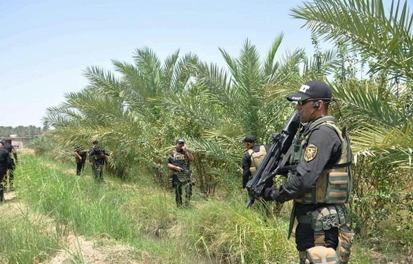 Iraqi police search for ISIS remnants in agricultural fields in Diyala province on July 21st. [Photo courtesy of the Diyala police command]