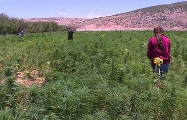 Jordanians denounce Hizbullah's drug trade