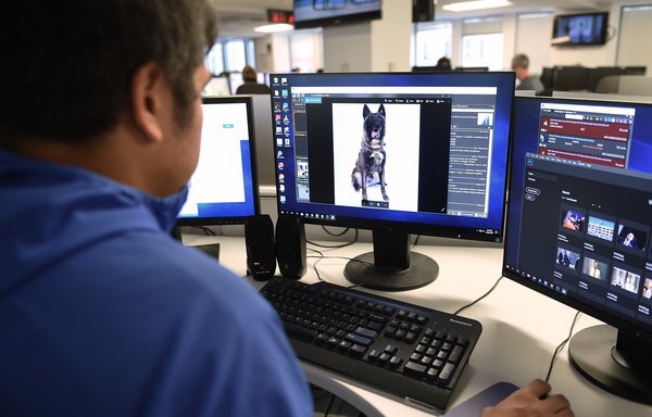 This photo illustration taken October 28th in Washington shows an AFP employee looking at a picture of the dog that helped capture ISIS leader Abu Bakr al-Baghdadi. [STR/AFP]