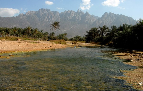A picture shows a view of the Yemeni island of Socotra, a site of global importance for biodiversity conservation in the north-western Indian Ocean, on March 27th, 2008. [Khaled Fazaa/AFP]