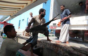 Iran's 'massive illegal fishing operation' in Indian Ocean exposed