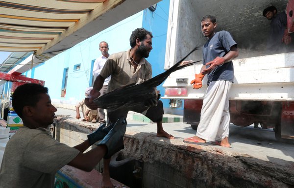 Iranian fishermen unload their catch into a refrigerator truck in the southern port city of Chabahar in this file photo from May 14th, 2015. [Atta Kenare/AFP]