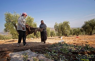 فروش زمین های مخالفان رژیم سوریه از طریق «مزایده های صوری»