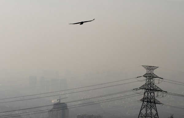 A general view taken from Western Tehran shows a bird flying in a blanket of brown-white smog covering the city as the first of the winter's heavy pollution hit the Iranian capital on November 14, 2016. [Atta Kenare/AFP]