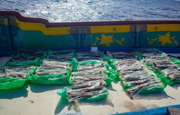 Weapons and weapons components were seized from two stateless dhows during a US Navy maritime security operation in international waters off the coast of Somalia on February 11 and 12. [US Navy]