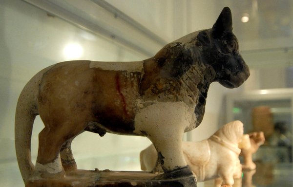 Animal statuettes are displayed at the Sanaa National Museum on February 25, 2007. [Khaled Fazaa/AFP]