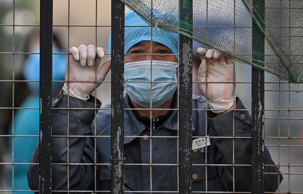 A worker looks out from the entrance of a hospital toward the Wuhan Centre for Disease Control and Prevention after members of the World Health Organisation (WHO) team investigating the origins of the COVID-19 arrived at the centre on February 1. [Hector Retamal/AFP]