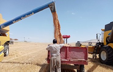 Drought, Iran-backed militias stymie Iraq's agricultural production