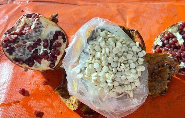 Saudi authorities seized Captagon pills hidden inside pomegranates during an April bust at the port of Jeddah. [Al-Mashareq]