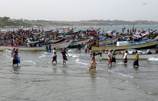 Yemeni fishermen July 12 gather by their boats as they return from fishing in the Red Sea coastal Khokha district of Yemen's western province of al-Hodeidah. Houthi-placed naval mines have halted fishing activity in some areas, say Yemeni officials. [Khaled Ziad/AFP]