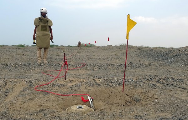 یکی از اعضای دولت یمن روز ۱۱ اسفند ماه ۱۳۹۹ در استان حدیده،‌ واقع در غرب یمن، در جستجوی مین است. [خالد زیاد/خبرگزاری فرانسه]