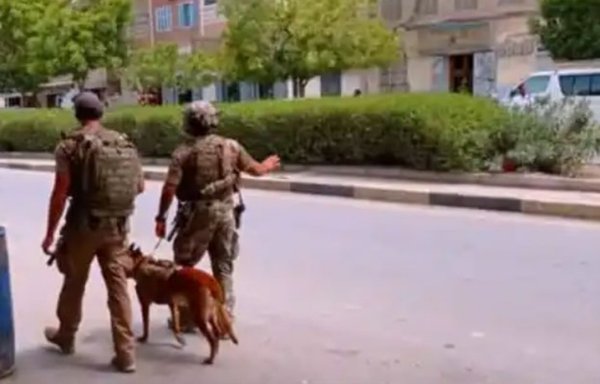 US forces accompanied by military dogs escort a convoy of humanitarian aid and medical supplies at the Ghayl Ba Wazir hospital in Hadramaut. [File]