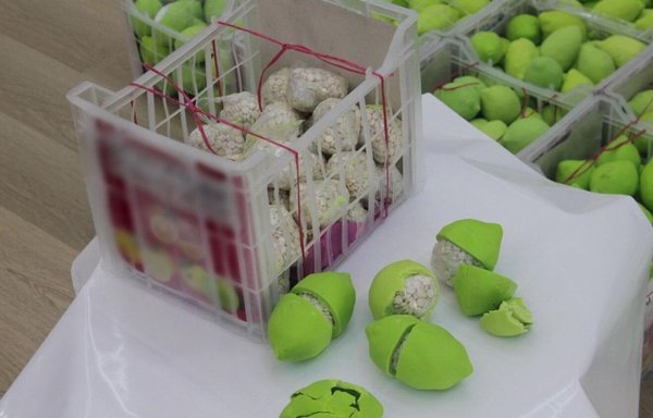 Narcotic pills hidden in a shipment of lemons were seized by the Emirati authorities in December. [Dubai Police]