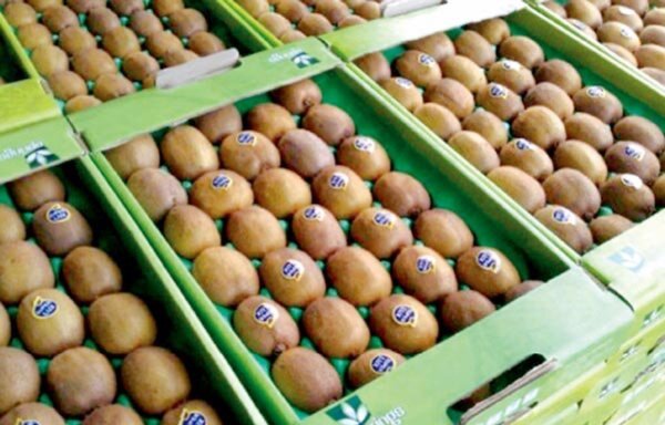 On Dec 12, the UAE rejected 20 tonnes of kiwifruit from Iran, citing insufficient quarantine times prior to exporting. [Hamshahri.ir]