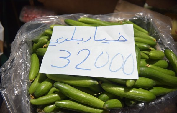 ارتفعت أسعار السلع الأساسية، بما فيها الخضروات، ارتفاعا كبيرا في لبنان وترافق ذلك مع انخفاض القدرة الشرائية، ما تسبب في موجة عارمة من المعاناة. وفي هذه الصورة، أصبح سعر كيلوغرام الخيار العضوي 32 ألف ليرة لبنانية. [زياد حاتم/المشارق]