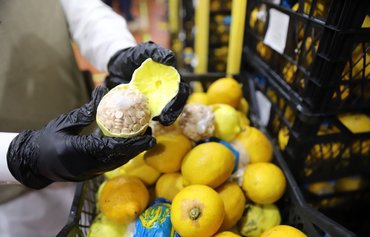 Tipsters, informants help Saudi Arabia score big wins in war on drugs