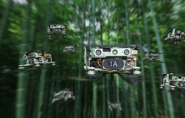 Last month, Chinese researchers published a drone swarm experiment allegedly showing devices autonomously navigating a dense patch of bamboo forest. [Handout Yuman Gao and Rui Jin/AFP]