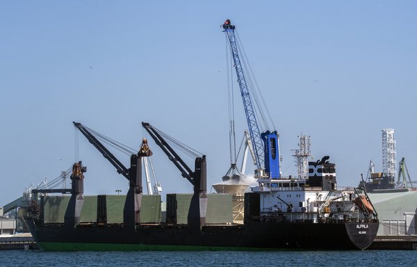 Finnish cargo-ship Alppila, carrying 18,000 tonnes of grain for animals from Ukraine, is unloaded at A Coruña, Spain, on June 13. The Ukrainian grain shipment arrived after being shipped via the Baltic Sea to circumvent Russia's blockade, imposed following the outbreak of war, a Spanish association said. [Miguel Riopa/AFP]