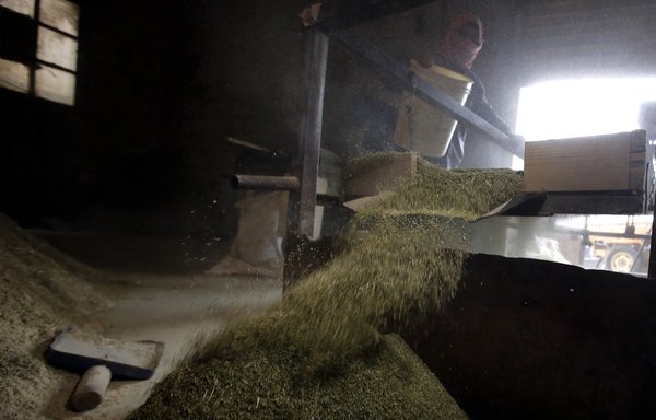 A Syrian worker monitors a machine separating chopped cannabis from the twigs in the village of Yamouneh in eastern Lebanon's Bekaa Valley on November 12, 2013. [Joseph Eid/AFP]