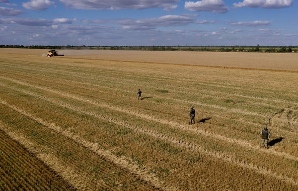 Russian servicemen are seen in a field on July 14 as farmers harvest wheat near Melitopol, Zaporizhzhia region, Ukraine, amid the ongoing Russian invasion of that country. [Andrey Borodulin/AFP]
