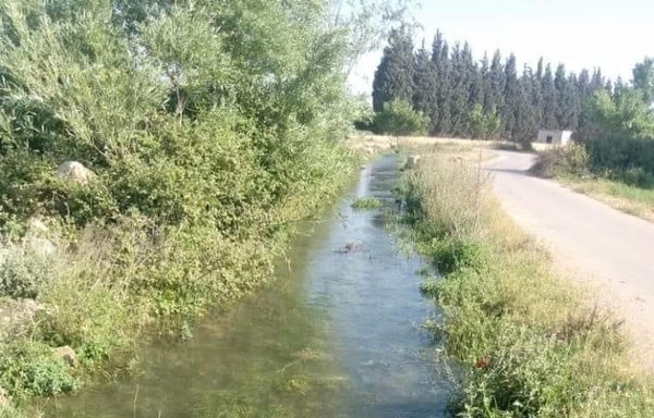 Hizbullah has been purchasing, through intermediaries, agricultural lands along Al-Asi river, seen here, in order to cultivate cannabis. [Al-Mashareq]