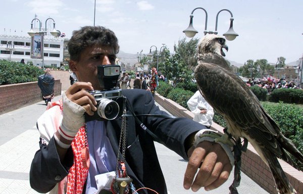 A Yemeni street photographer waits for customers to have their picture taken with his falcon in Sanaa on May 21, 2000. Iran has been accused of illegally importing Yemeni falcons, some species of which are endangered. [Rabih Moghrabi/AFP]