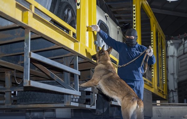 Saudi authorities use K-9 units to search for smuggled drugs in shipments entering the kingdom. A dog and handler are seen here on February 2. [Saudi Zakat, Tax and Customs Authority website]