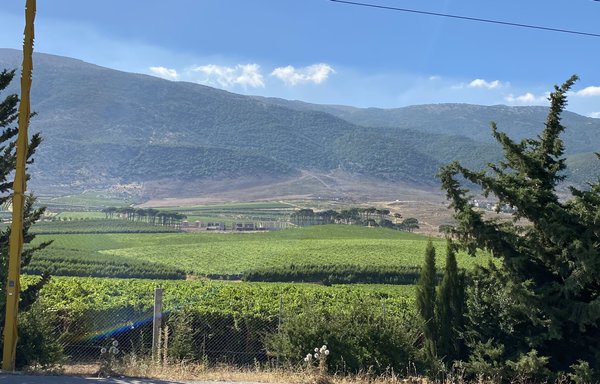 The Bekaa Valley is one of the most bountiful agricultural areas in Lebanon and is famous for its various crops, particularly hard wheat. [Nohad Topalian/Al-Mashareq]