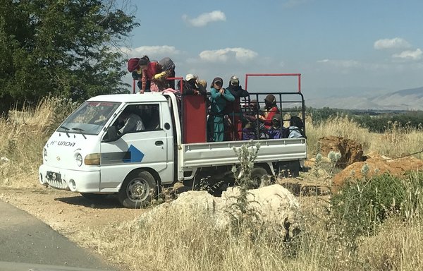 Harvest workers leave the Bekaa Valley on September 6 after a long day in the fields. [Nohad Topalian/Al-Mashareq]