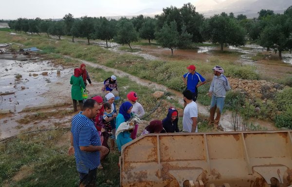 Syrian refugee families work near a camp in Bar Elias in Lebanon's Bekaa Valley during the winter months. [Nohad Topalian/Al-Mashareq]