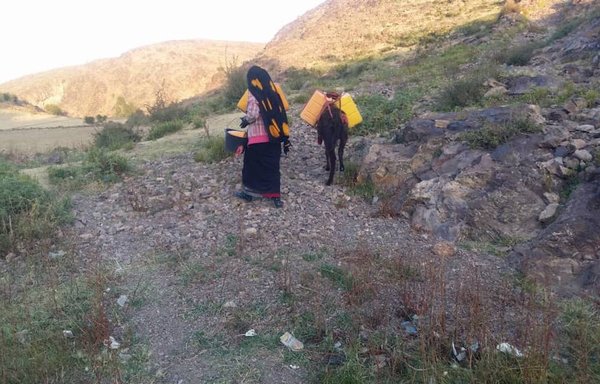 Dalila Salih, of the Ibb province village of Dharah, walks for two hours each day to fetch water, with the help of a donkey. [Haitham Mohammed/Al-Mashareq]