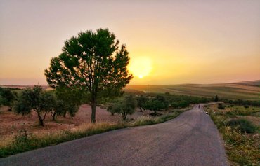 حراج اراضی کشاورزی مصادره شده در ادلب توسط رژیم سوریه