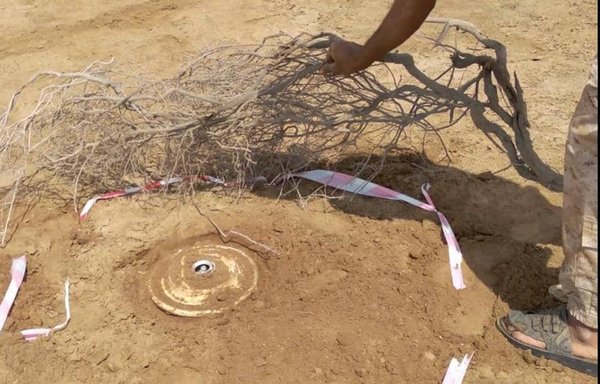A member of an engineering team prepares to dismantle an anti-vehicle landmine planted by the Houthis in Hajjah district. [Yemeni Observatory for Landmines]