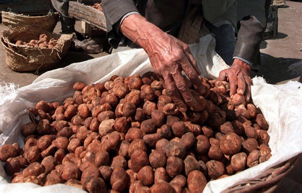 An Iraqi street vendor sells desert truffles, known as kemmeh, in Baghdad in this file photo from March 1998. [Karim Sahib/AFP]