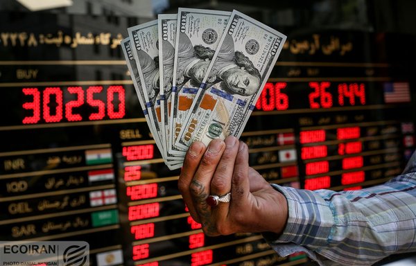 The value of the Iranian rial against the dollar has fallen by about half from last year. [EcoIran]