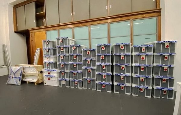 Boxes containing artefacts that Iraq lent to the United Kingdom 100 years ago for research and maintenance purposes are seen here in a photo posted online on May 5. [Iraqi Ministry of Culture]