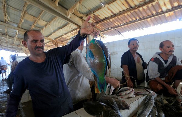 Fishermen sell their catch at a fish market in the Red Sea port city of al-Hodeidah on July 16. [Mohammed Huwais/AFP]