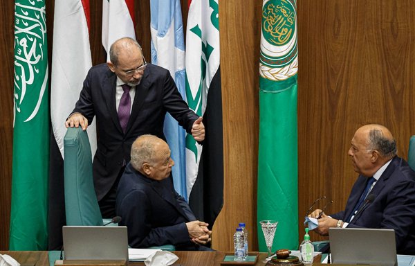 Egypt's diplomacy thrives across Africa, Middle East